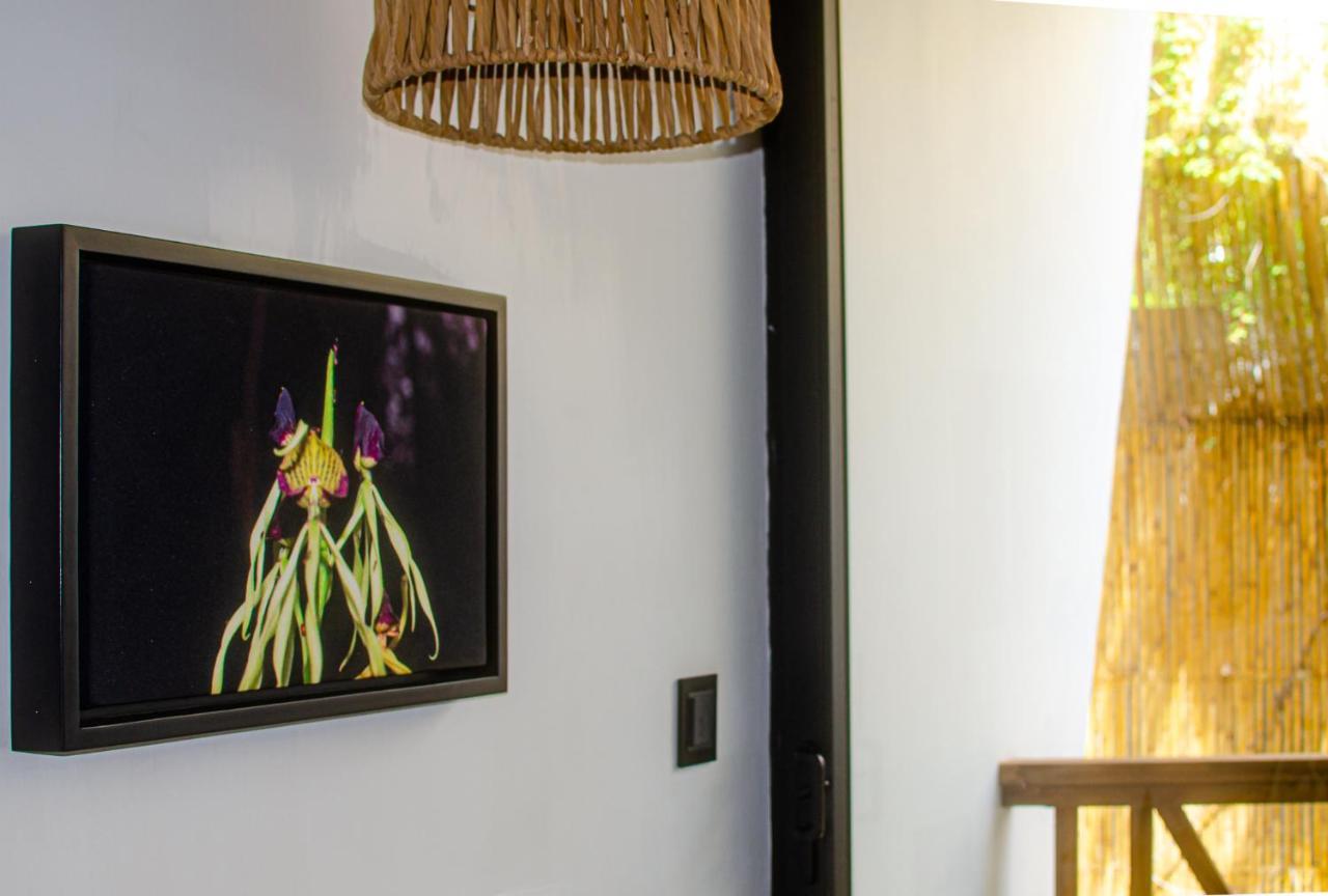 Ximena Hotel Boutique Sayulita Exteriér fotografie